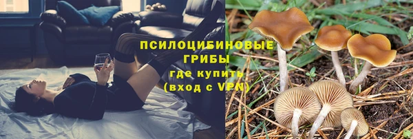 таблы Аркадак